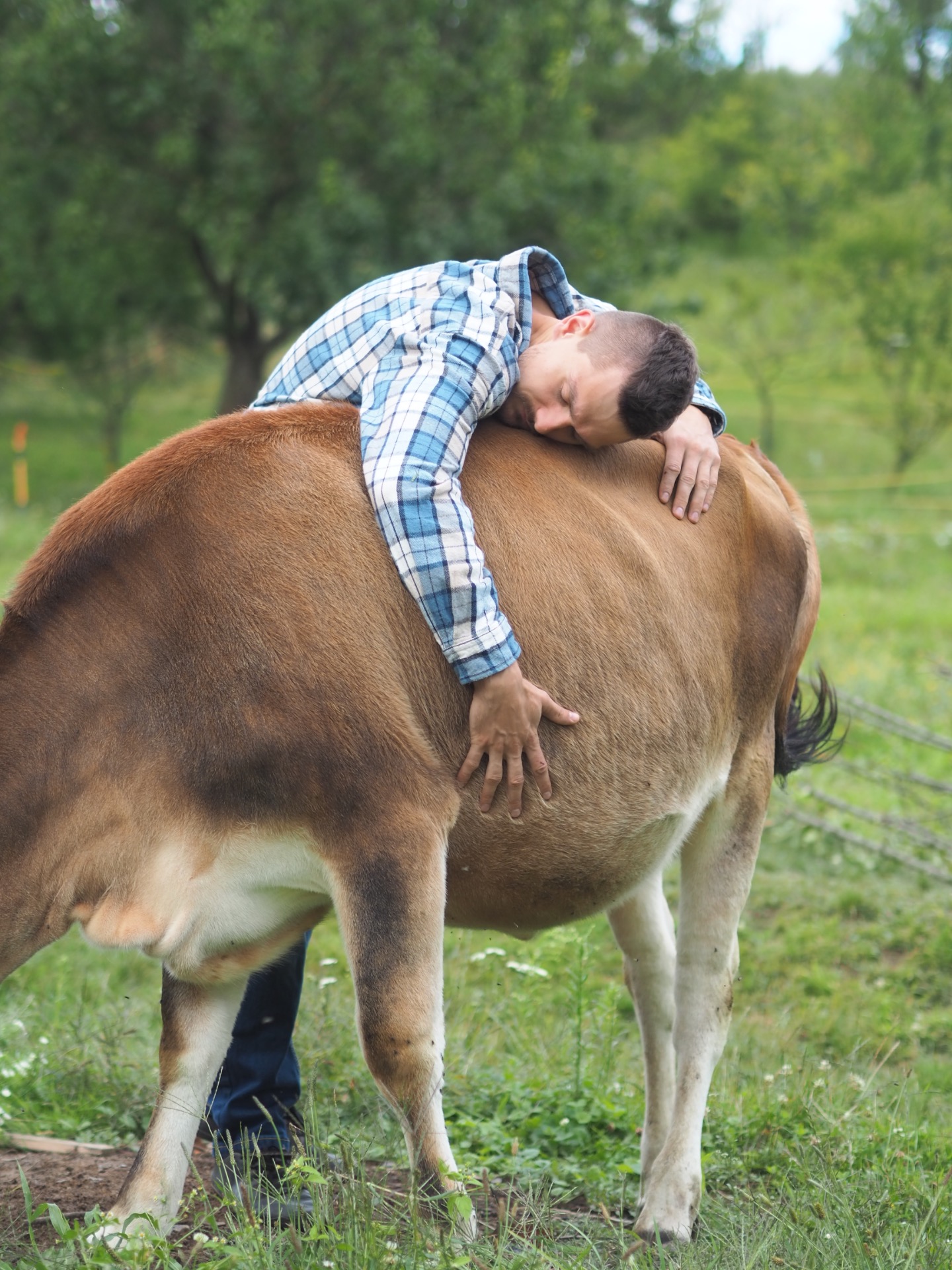 ANCESTRÁLNÍ ŽIVOT